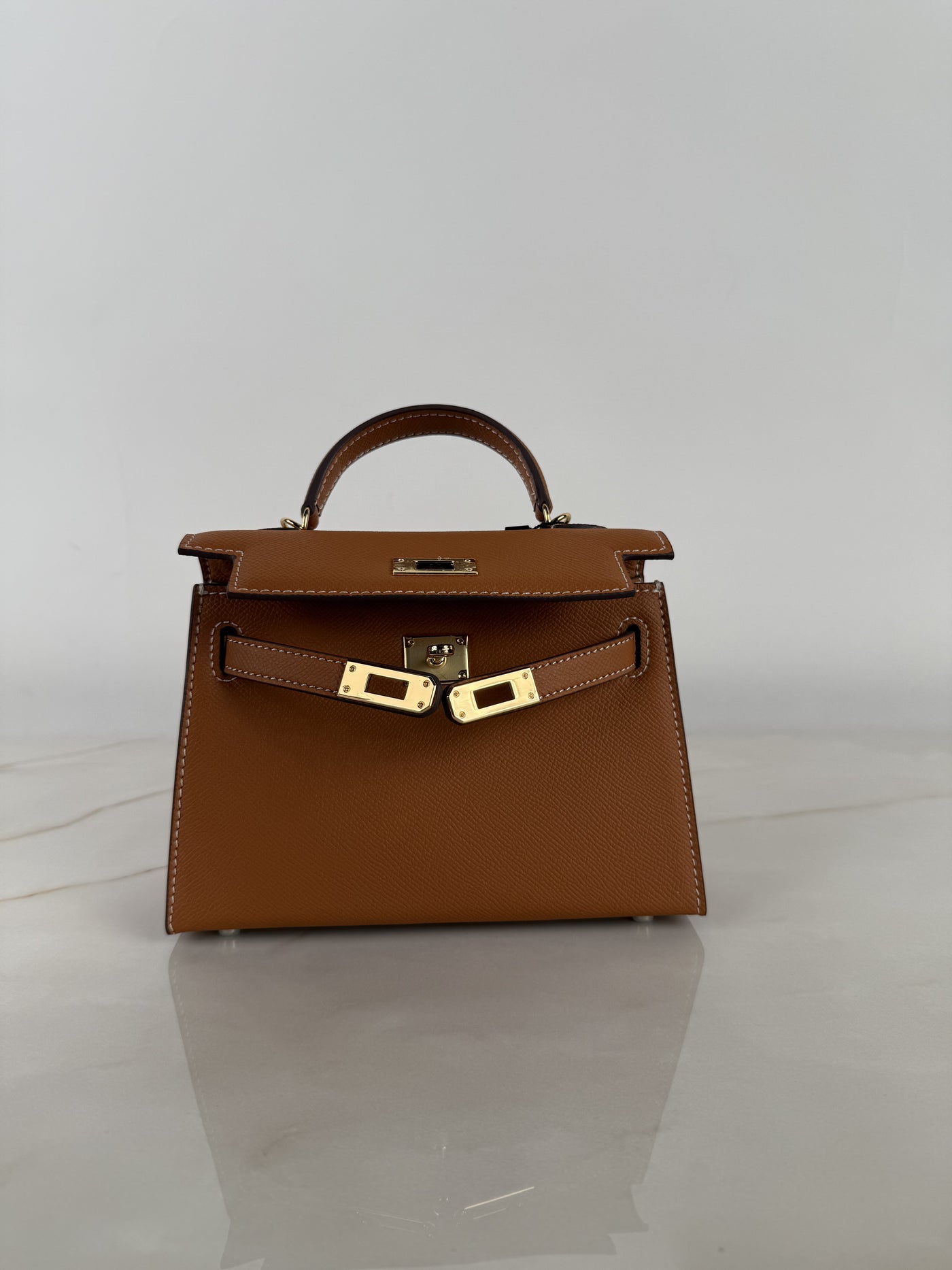 Delphine Tan Handbag in Pure leather