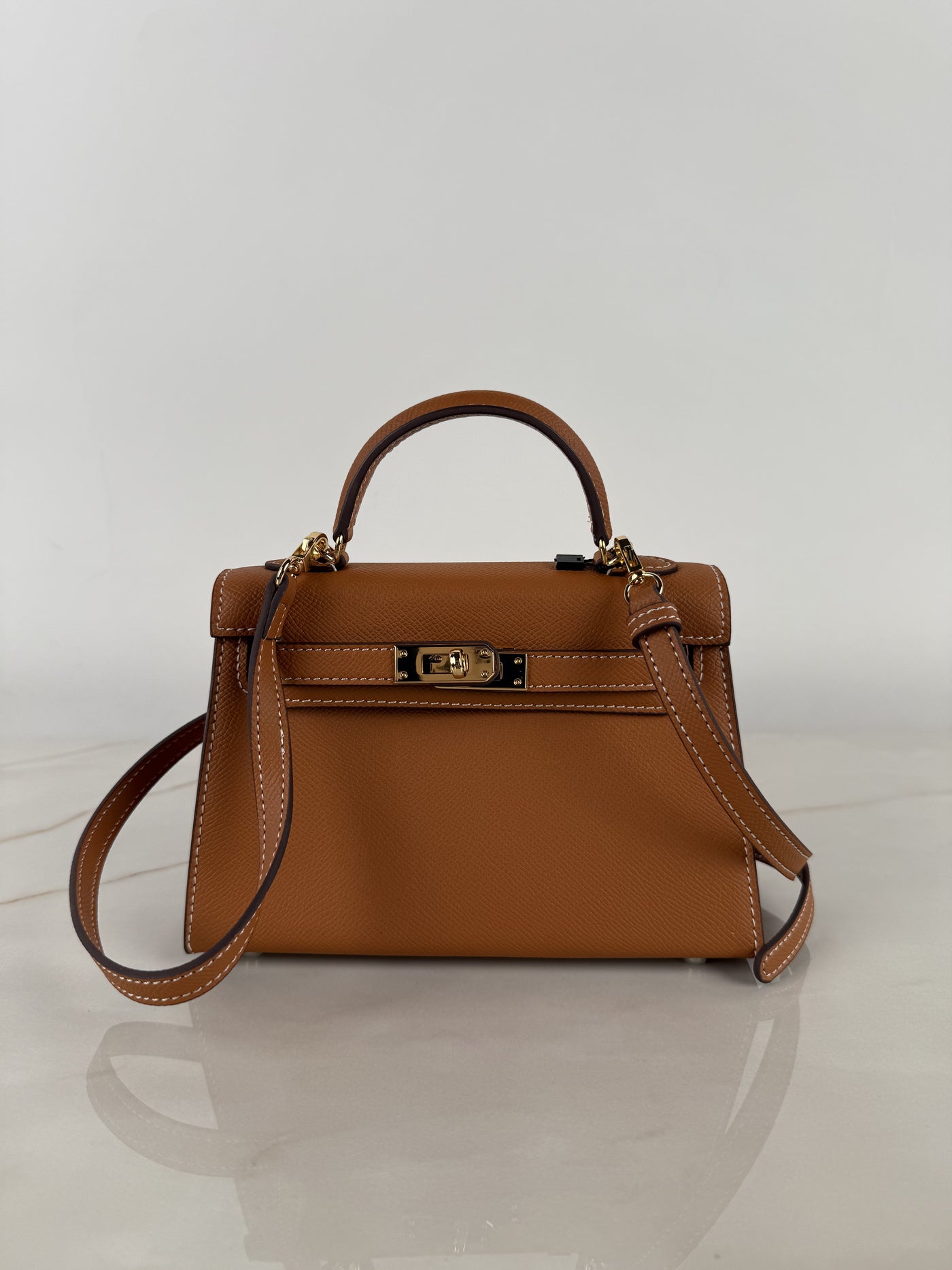 Delphine Tan Handbag in Pure leather