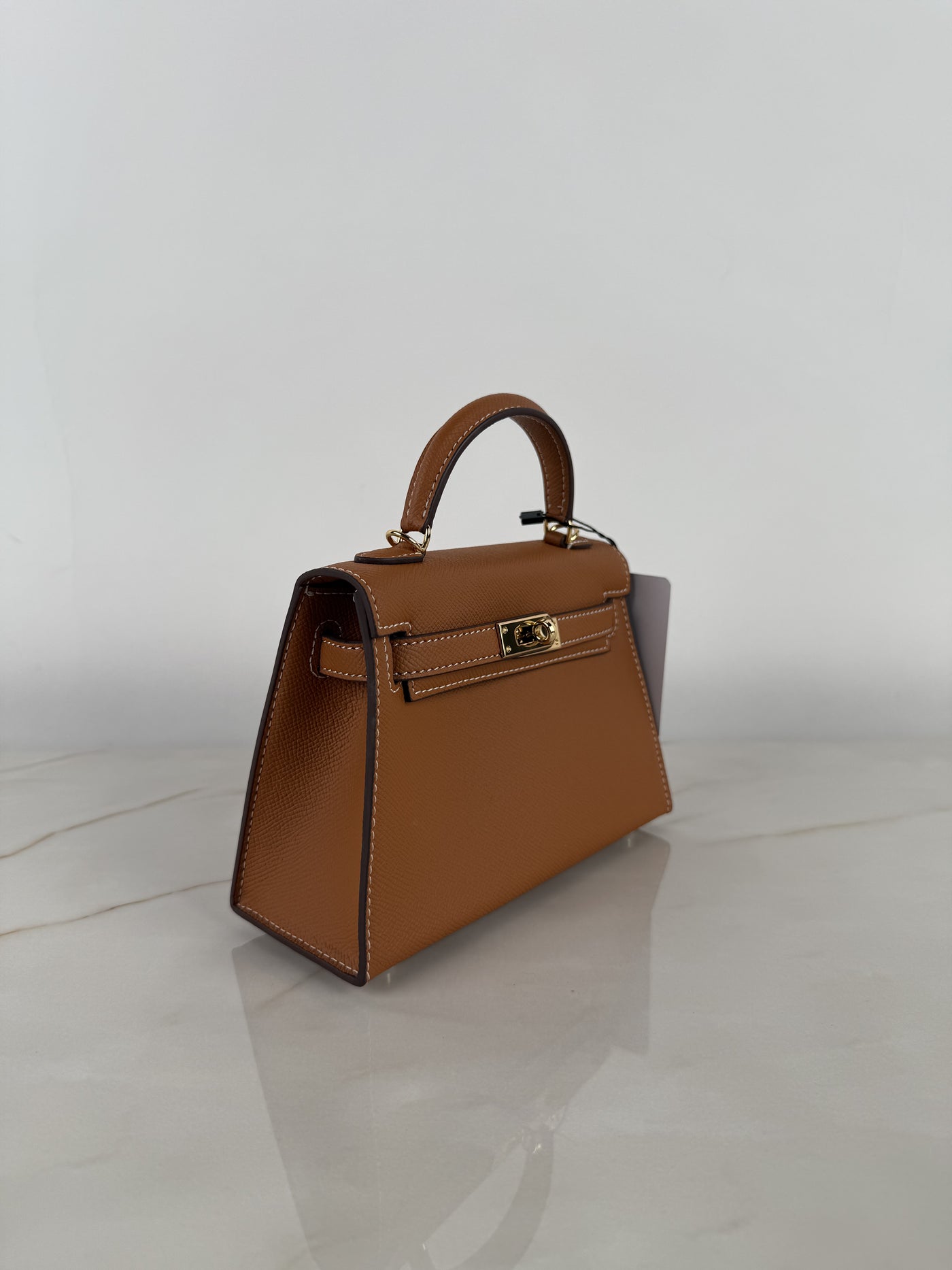 Delphine Tan Handbag in Pure leather